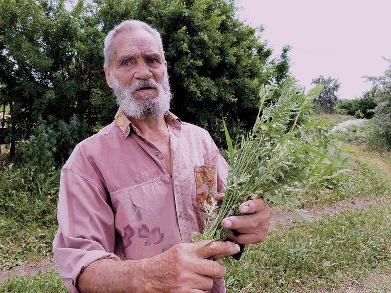 man with an armful of grass